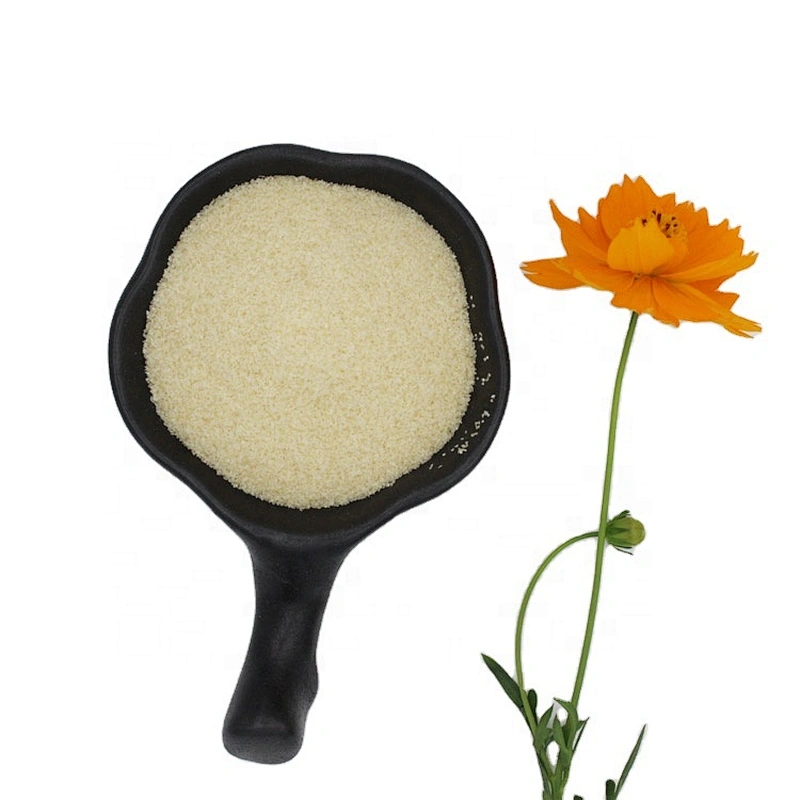Beef Skin Edible Gelatin for Food Industry